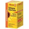 Bloem Echinacea (100 tab)