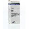 VSM Sepia officinalis LM1