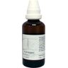 VSM Echinacea pallida oer (50 ml)