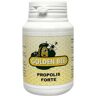 Golden Bee Propolis forte