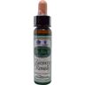 Ainsworths Recovery remedy (10 ml)