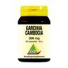 SNP Garcinia cambogia 300 mg (60 caps)
