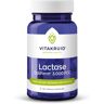 Vitakruid Lactase optiferm 3000 FCC (90 vega caps)