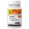 Lutein Plant-based (60 capsules) Raab Vitalfood toepassingsgebieden Augen