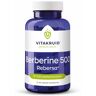 Vitakruid Berberine 500 Rebersa 97-102% berberine zouten 90vc