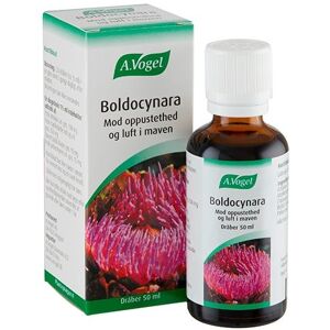 A.Vogel A. Vogel Boldocynara - 50 ml