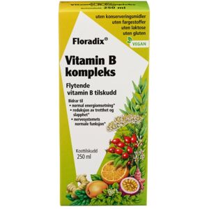 Floradix Vitamin B Complex