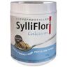 SylliFlor