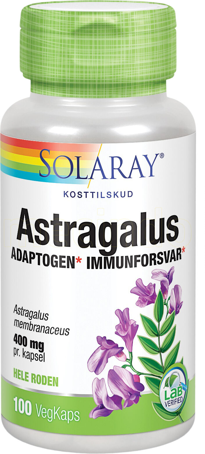 Solaray Astragalus - 100 Kapsler