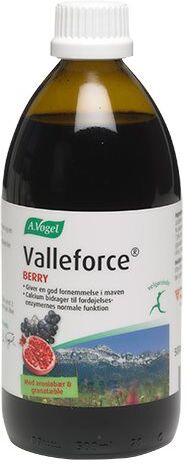 A.Vogel A. Vogel Valleforce Berry - 500 ml