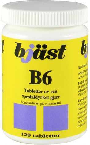 Bjäst B6