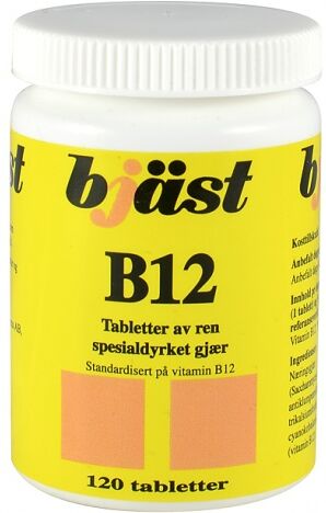 Bjäst B12