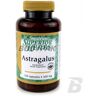 Swanson Astragalus [Traganek] 500mg - 120kaps.