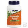 NOW Foods Boswelia Extract + Turmeric - 120 kaps.