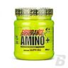 4+ Nutrition Endurance Amino+ - 300g