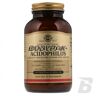 Solgar Advanced Acidophilus 40+ - 120 kaps.