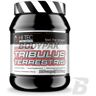 Hi Tec Nutrition Hi Tec Tribulus Terrestris - 100 kaps.