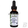 Swanson Astragalus Root Liquid Extract - 29,6ml