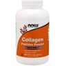 NOW Foods Collagen Peptides Powder - 227g