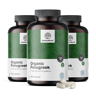 HealthyWorld 3x BIO Kozieradka (greckie siano), razem 540 kapsułek