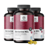 HealthyWorld 3x Berberyna HCL 500 mg, razem 540 kapsułek