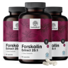 HealthyWorld 3x Forskolina – z ekstraktu z pokrzywy indyjskiej 20 mg, razem 180 kapsułek