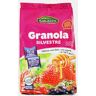 GRANOLA SILVESTRE 250g SALUTEM