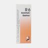 DR. RECKEWEG R6 50ml - Gripe, Constipação e Febre