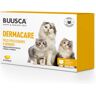 Buusca Dermacare Gato 60 Cápsulas