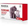 Buusca Flexicare Gato 30 Comprimidos