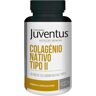 Juventus Premium Colagénio Nativo Tipo II Comprimidos x90