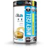 Procell Whey Cell #natillas