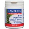 Lamberts Extrato de Saw Palmetto 160Mg 60 Tab