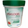 Psyllogel Fibra Morango 170g