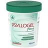 Psyllogel Fibra Sabor Neutro 170g