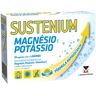 Menarini Sustenium Magnésio e Potássio x14 Saquetas