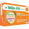 Suplemento Win-fit Imuno 30un