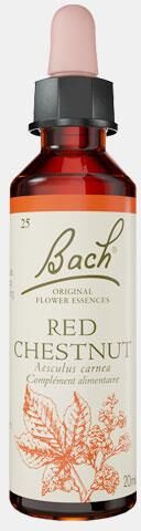 BACH FLORAL BACH RED CHESTNUT 20ml