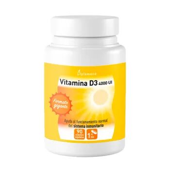 Plameca Vitamina D3 4000 UI 90 VCaps