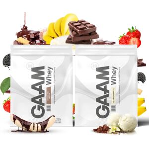 2 X Gaam 100% Whey Premium 1 Kg