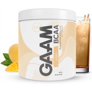 Gaam Bcaa 400 G Mango