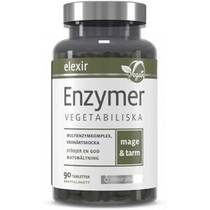 Elexir Pharma Enzymer 90 Tabs