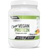 Fairing Clear Vegan Protein 500 G Veganprotein