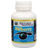 Australian Remedy Bilberry 5000 mg 100 kapsúl