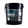 BiotechUSA (4000g) Protein Power