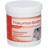 Trauma-Salbe Mayrhofer wärmend Salbe 500 g 500 g Salbe