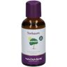 Taoasis® Teebaum Öl Ätherisches 50 ml 50 ml Ätherisches Öl