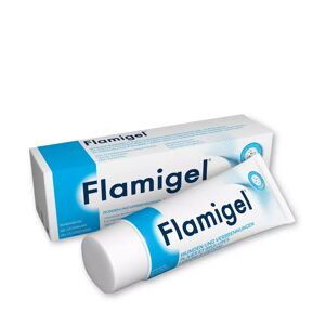 Flamigel - Wundheilgel 100g, 100 G