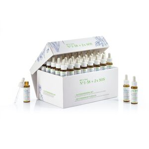 PHYTOMED Bachblüten Set 1-38 + 2 SOS Konzentrat 10 ml (1 Stück)