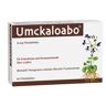 Umckaloabo 20 mg Filmtabletten 60 St